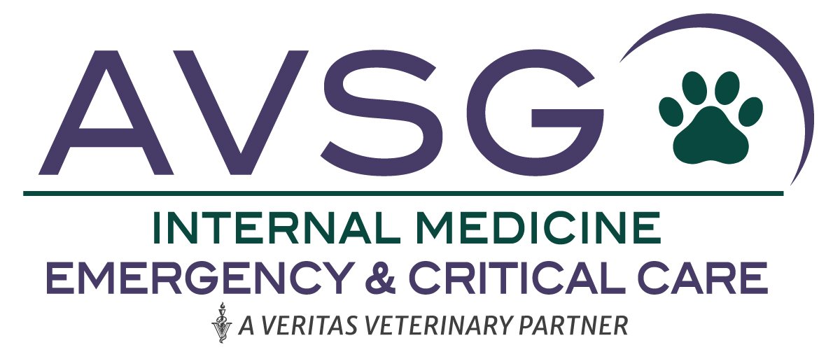 AVSG Internal Medicine & Emergency/Critical Care